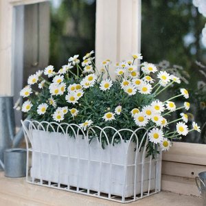 ClassicPlanterBox