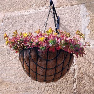 HangingPotPlanter